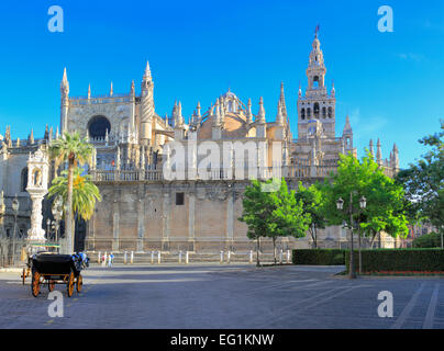 Quadrat, Cathedral of Saint Mary des Stuhls (Catedral de Santa María De La Sede), Sevilla, Andalusien, Spanien Stockfoto