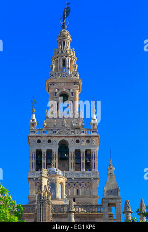 La Giralda Turm, Cathedral of Saint Mary siehe (Catedral de Santa María De La Sede), Sevilla, Andalusien, Spanien Stockfoto