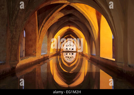 Bäder von Lady Maria de Padilla (Los Banos de Dona Maria de Padilla), Alcazar, Königspalast, Sevilla, Andalusien, Spanien Stockfoto