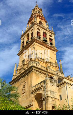 Glockenturm, Kathedrale (Mezquita), Córdoba, Andalusien, Spanien Stockfoto