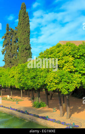 Gärten des Alcázar von Christian Kings (Alcazar de Los Reyes Cristianos), Córdoba, Andalusien, Spanien Stockfoto