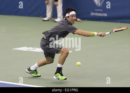 Memphis, TN, USA. 13. Februar 2015. Memphis, TN - Februar 13: Kei Nishikori(JPN) in Aktion gegen Austin Krajicek(USA) in ihrem 3. Vorrundenspiel bei den 2015 Memphis Open in Memphis, Tennesse. Fotograf Andreas Patron © Andrew Patron/ZUMA Draht/Alamy Live-Nachrichten Stockfoto