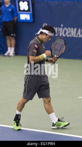 Memphis, TN, USA. 13. Februar 2015. Memphis, TN - Februar 13: Kei Nishikori(JPN) in Aktion gegen Austin Krajicek(USA) in ihrem 3. Vorrundenspiel bei den 2015 Memphis Open in Memphis, Tennesse. Fotograf Andreas Patron © Andrew Patron/ZUMA Draht/Alamy Live-Nachrichten Stockfoto