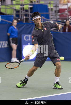 Memphis, TN, USA. 13. Februar 2015. Memphis, TN - Februar 13: Kei Nishikori(JPN) in Aktion gegen Austin Krajicek(USA) in ihrem 3. Vorrundenspiel bei den 2015 Memphis Open in Memphis, Tennesse. Fotograf Andreas Patron © Andrew Patron/ZUMA Draht/Alamy Live-Nachrichten Stockfoto