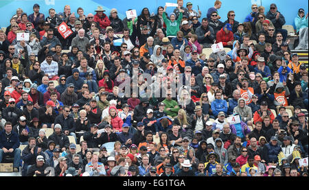 Christchurch, Neuseeland. 14. Februar 2015. Fans während des ICC Cricket World Cup-match zwischen Neuseeland und Sri Lanka bei Hagley Oval in Christchurch, Neuseeland. Samstag, 14. Februar 2015. © Aktion Plus Sport/Alamy Live-Nachrichten Stockfoto