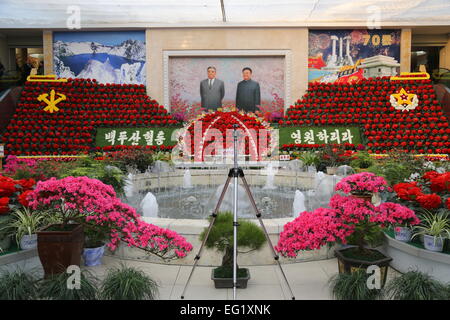 Pyongyang. 13. Februar 2015. Foto aufgenommen am 13. Februar 2015 zeigt die 19. Kimjongilia Ausstellung in Pjöngjang, Demokratische Volksrepublik Korea (DVRK). Kimjongilia Blumen, benannt nach dem verstorbenen DVRK Führer Kim Jong-Il, sind vor kurzem in Pjöngjang. Die demokratischen Volksrepublik Korea hold Kimjongilia Ausstellung jede Mitte Februar seit 1996 zum Geburtstag von Kim Jong Ils Geburtstag, am 16. Februar fällt. © Lu Rui/Xinhua/Alamy Live-Nachrichten Stockfoto