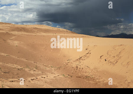 Mongol Els Sanddünen, Tov Provinz, Mongolei Stockfoto