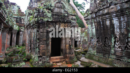 Preah Khan Tempel (12. Jahrhundert), Angkor, Kambodscha Stockfoto