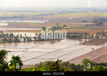 Reisfelder, Blick vom Nui Sam Mountain, Chau Doc, Giang, Vietnam Stockfoto