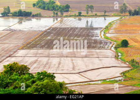 Reisfelder, Blick vom Nui Sam Mountain, Chau Doc, Giang, Vietnam Stockfoto