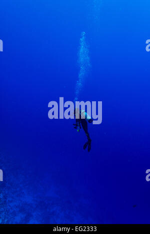 Taucher in das blaue Wasser schweben.  Auf Yap Insel Föderierte Staaten von Mikronesien. Stockfoto