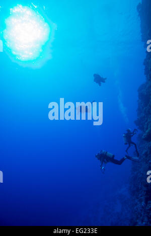 Strömungstauchen auf Yap. Sanft drückt Flut Taucher. Entlang der großen Mauer in das blaue Wasser schweben. Stockfoto