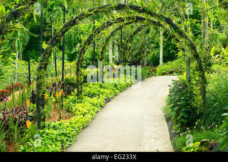 grüne Bogen gemacht von Tropenpflanzen über Fußgängerweg in Singapur Botanischer Garten Stockfoto