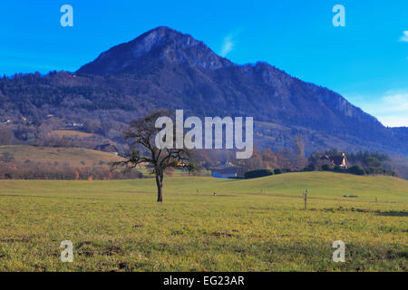 Arves Tal in der Nähe von Thyez, Haute-Savoie Rhone-Alpes, Frankreich Stockfoto