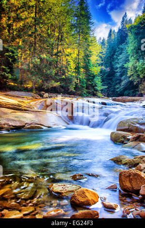 Schöner Wasserfall in den Wald, erstaunlich schnell Wasserstrom zwischen Steinen, die wunderbare Landschaft, die Schönheit der wilden Natur Stockfoto