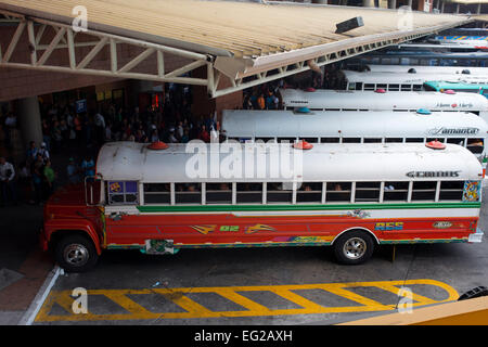 Albrok Busbahnhof terminal. Panama. Hier kommt die Diablo Rojo Red Devil-Bus strahlen seine Luft-Horn und schlingern um Stockfoto