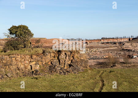 Stowe-Steinbruch in der Nähe von Trow Green in der Nähe von Clearwell, Wald des Dekans, Gloucestershire, England, UK Stockfoto