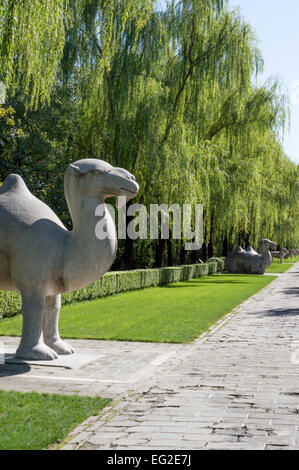 Kamel Statuen, geschnitzte Statue auf der Allee der Heiligen Straße der Ming-Gräber, Changling, Peking, China. UNESCO Welt Stockfoto