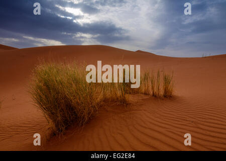 Am späten Nachmittag begann die dunklen Wolken über den Sanddünen des Erg Chigaga in der marokkanischen Sahara bilden. Stockfoto