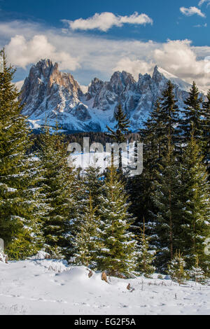 Landschaftlich reizvolle Winter Blick auf Seiser Alm Seiser mit Langkofel oder Langkofel hinter, Dolomiten, Alto Adige Südtirol, Italien Stockfoto