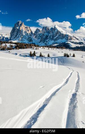 Landschaftlich reizvolle Winter Blick auf Seiser Alm oder Alpe di Siusi mit Sassolungo Langkofel im Hintergrund, Alto Adige Südtirol, Italien Stockfoto