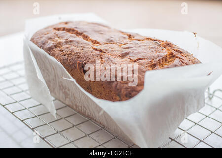 Ofenfrische, hausgemachte, Kuchen Orange und Apricot direkt nach Entnahme aus dem Ofen. Stockfoto