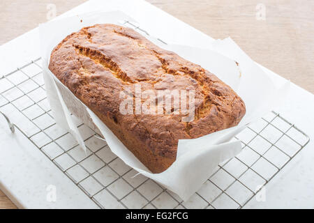 Ofenfrische, hausgemachte, Kuchen Orange und Apricot direkt nach Entnahme aus dem Ofen. Stockfoto