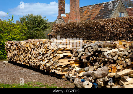 Die umfangreiche trocknen Holzstapel bei Mapperton Hausgärten, Dorset, England, UK Stockfoto