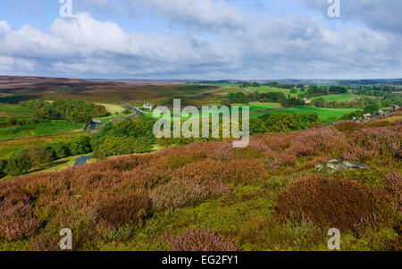 Die North York Moors an einem feinen Herbstmorgen mit Heidekraut blühen in der Nähe von Dorf Goathland, North Yorkshire, UK. Stockfoto