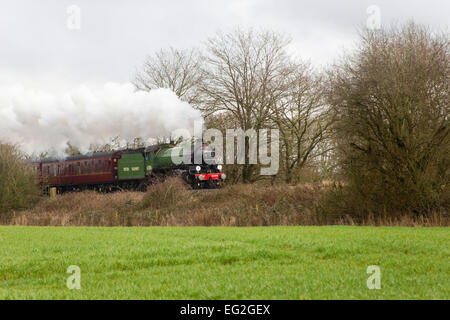 B1 Klasse Lok 61306 Mayflower schleppt Kathedralen Express Valentine Tag mittags Runden durch den südlichen Rand der Surrey Hügel auf dem Weg nach Haslemere. Stockfoto