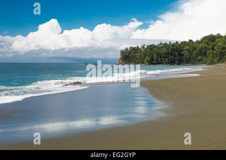 Tripical Strand, Corcovado Nationalpark, Osa Halbinsel, Costa Rica, Mittelamerika Stockfoto