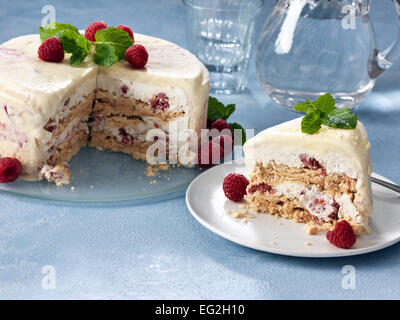 Ice Cream Cake Stockfoto