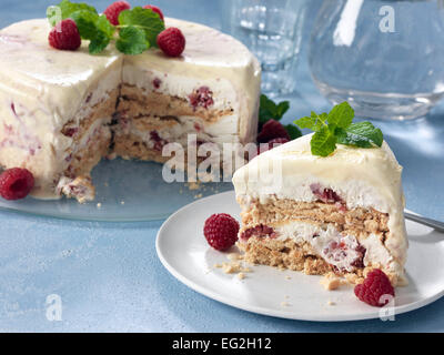 Ice Cream Cake Stockfoto