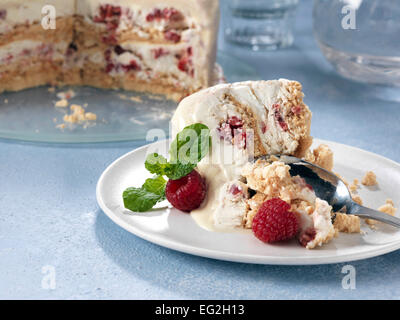 Ice Cream Cake Stockfoto
