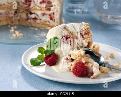 Ice Cream Cake Stockfoto