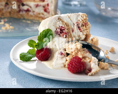 Ice Cream Cake Stockfoto