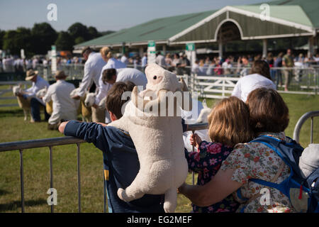 Unter Sommer Sonne, Mutter und 2 Kinder, beobachten Sie Schafe Wettbewerb in Yorkshire, England, UK. Amüsant, wie Junge hat Rucksack wie ein Ram!