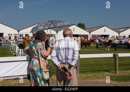 Unter blauem Himmel & Sommer Sonne, reifes Paar in der Landwirtschaft zeigen, stand watching Almabtrieb runden die show Ring - Tolle Yorkshire, England, UK. Stockfoto