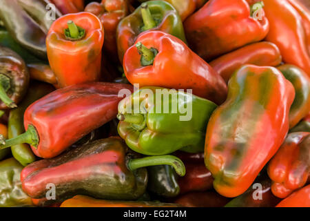 Paprika zum Verkauf in La Garita Bauernmarkt in Costa Rica Stockfoto