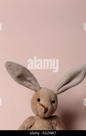 Ein Kinder Teddybär im Studio vor einem hellen rosa Hintergrund abgebildet. Stockfoto