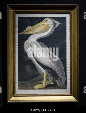 London, UK. 13. Februar 2015. Nach Audubon, US-amerikanischer weißer Pelikan (pl. CCCCXI), highlights est £26.000-39.000, eine Vorschau der Auktion aus den Nachlass von Lauren Bacall, bei Bonhams, London, England am 13. Februar 2015. Die Vorschau von 50 ausgewählten umfasst Werke von Henry Moore, David Hockney, Robert Graham, Noel Coward und Jim Dine - lose und wird voraussichtlich am 31. März und 1. April 2015 bei Bonhams New York versteigert. © Melissa Nord/Alamy Live-Nachrichten Stockfoto