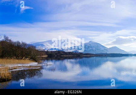 Schneebedeckte Skiddaw spiegelt sich in ruhigen Gewässern des Bassenthwaite Lake, winter, Lake District, Cumbria, England UK Stockfoto