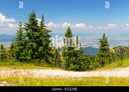 Blick vom Postavarul-massiv, Poiana Brasov, Rumänien Stockfoto