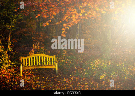 Leere gelbe Bank an einem wunderschön farbigen herbstlichen Morgen. Stockfoto