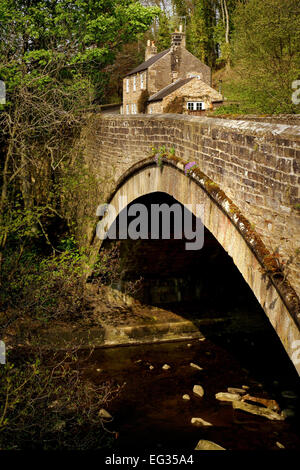 Die Brücke über den Fluss Allen, Allendale, Northumberland Stockfoto