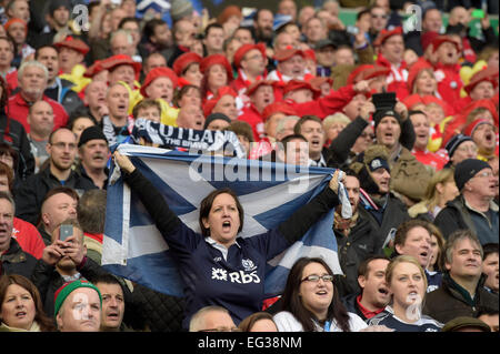 Murrayfield Stadium, Edinburgh, UK. 15. Februar 2015. RBS 6 Nations 2015 Runde 2, Scotland Vs Wales Credit: Rob Gray/Alamy Live News Stockfoto