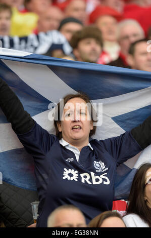 Murrayfield Stadium, Edinburgh, UK. 15. Februar 2015. RBS 6 Nations 2015 Runde 2, Scotland Vs Wales Credit: Rob Gray/Alamy Live News Stockfoto