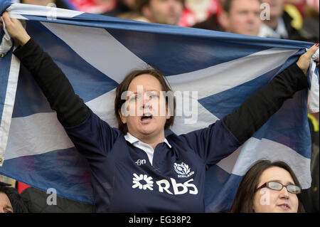 Murrayfield Stadium, Edinburgh, UK. 15. Februar 2015. RBS 6 Nations 2015 Runde 2, Scotland Vs Wales Credit: Rob Gray/Alamy Live News Stockfoto