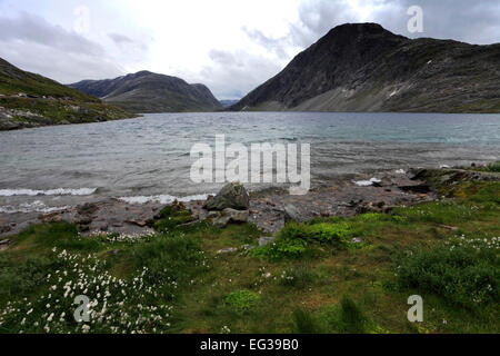 Blick über den See Djupvatnet, in der Nähe von Geiranger entfernt, UNESCO Weltkulturerbe, Sunnmøre Region, Møre Og Romsdal Grafschaft, Norwegen Stockfoto