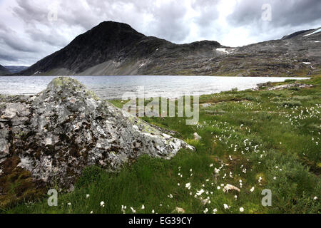 Blick über den See Djupvatnet, in der Nähe von Geiranger entfernt, UNESCO Weltkulturerbe, Sunnmøre Region, Møre Og Romsdal Grafschaft, Norwegen Stockfoto